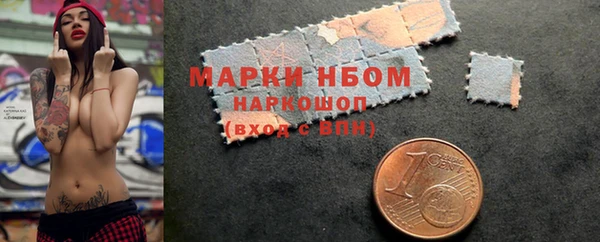 гашик Пестово