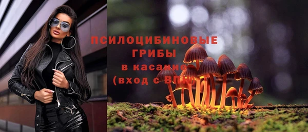 дурь Володарск