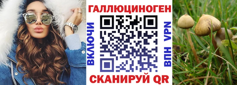 Галлюциногенные грибы ЛСД  Купить  Краснообск 