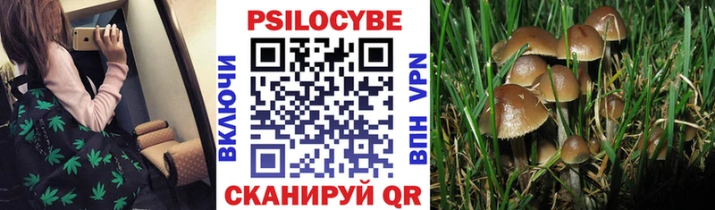Псилоцибиновые грибы ЛСД Краснообск